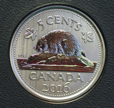 2016 Canada 5 cent nickel beaver Specimen finish from set - COIN