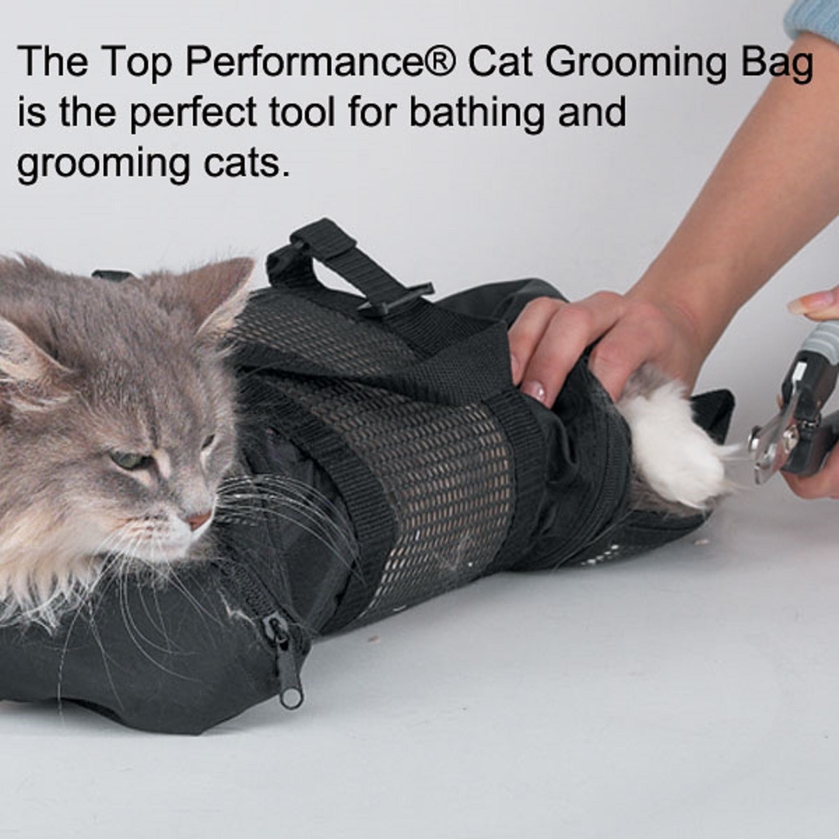 What is a Cat Grooming Bag: Essential Tool for Stress-Free Care