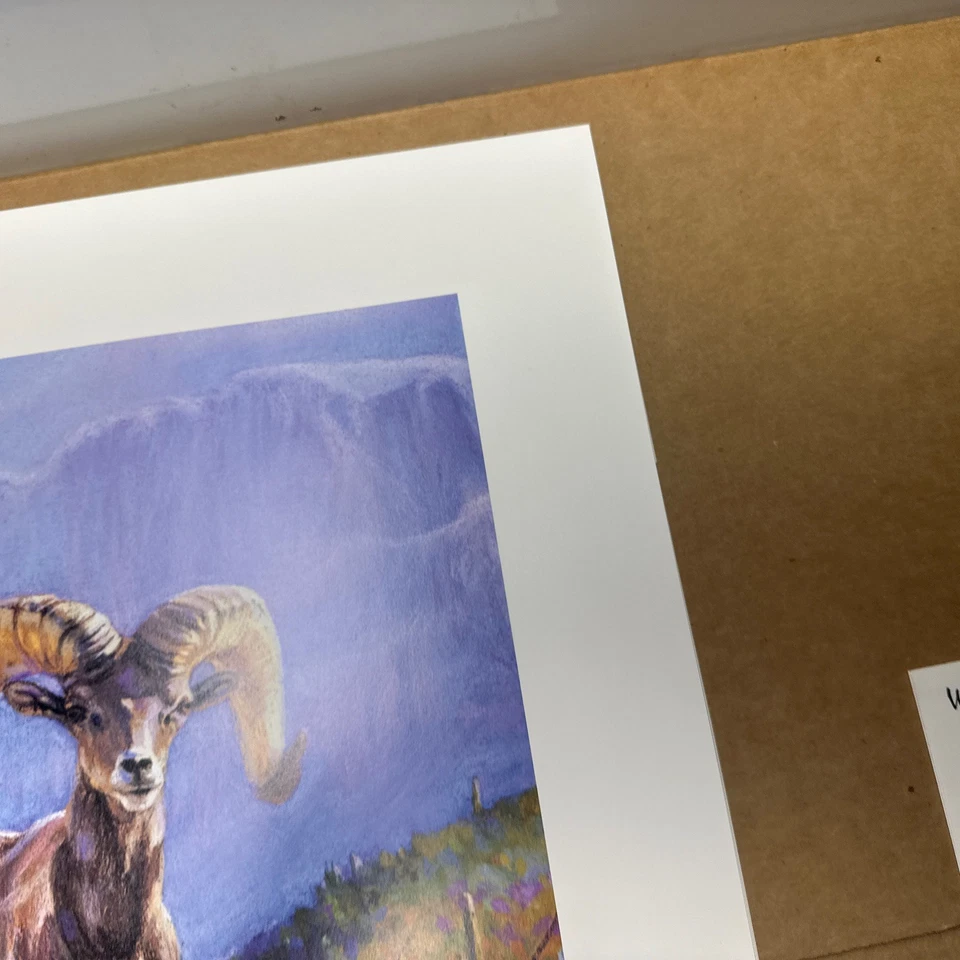 Ruger North Americans - S/N - “Desert Rangers” - Paul Bosman - 215/950 Foto 4 de 4