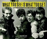 What You See Is What You Get | Stiff Little Fingers 1977-1983 | Roland Link