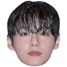 V Fringe Celebrity Mask, Flat Card Face, Fancy Dress Mask
