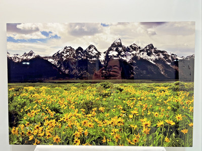 Russ Kerr Majesty Of Birds Wild Life Photographer Grand Teton National Park