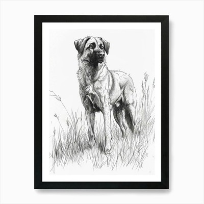 Gerahmtes Wandbild Poster Leinwanddruck Bild Anatolischer Schäferhund Linie Skizze