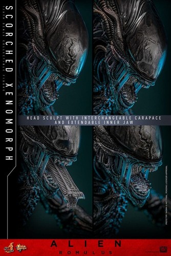 PRESALE COUPON €449,00 Hot Toys ALIEN Romulus SCORCHED XENOMORPH 1/6 Doll FIGURE - Picture 11 of 15