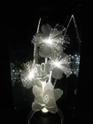 Bild 8 von 19
