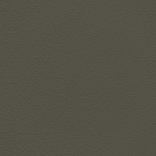 GM Dark Brown Grey Leather Dye