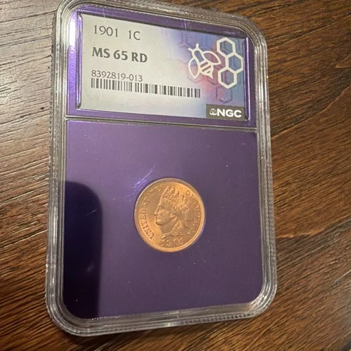 1901 Indian Head 1c Cent NGC MS 65 RD