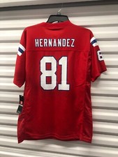 Hernandez Florida Gators Number 81 Hernandez Jersey Aaron