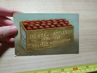 Vintage Washington Apples Advertising Post Card