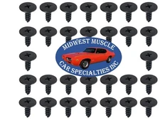 NOSR GM Convertible Roof Soft Top Boot Interior Well Window Trim Rail Screws 30p