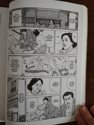 ALLEVARE UN CANE E ALTRI RACCONTI JIRO TANIGUCHI 2019 PANINI COMICS - Picture 8 of 11