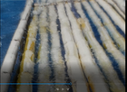 Bild 1 von 8