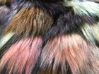Bild 10 von 18