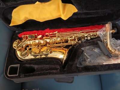 Saxophone Never used
