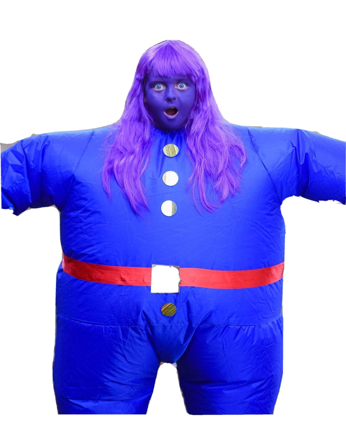 Blueberry Inflation Costume
