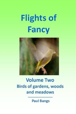 Flights of Fancy: Volume Two, Bangs, Paul