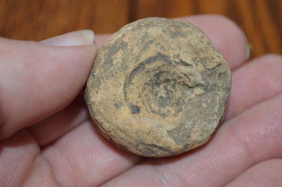 Miniature Mississippian Pottery Discoidal New Madrid Co, Missouri 1.25
