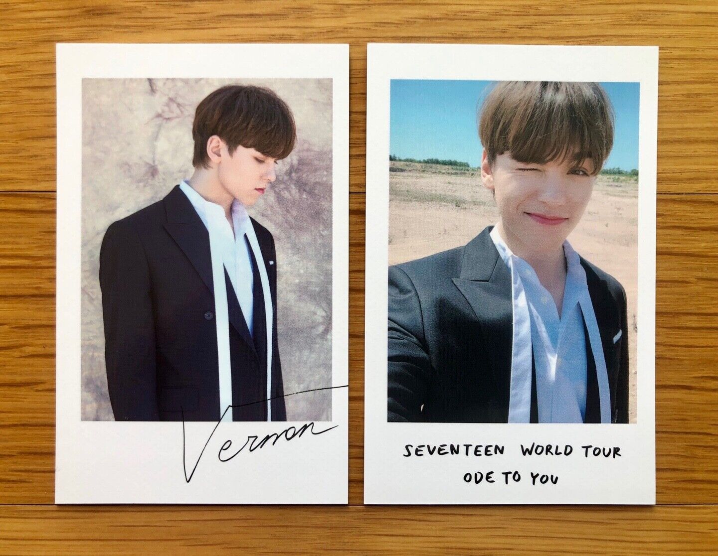 SEVENTEEN 2019 WORLD TOUR 'ODE TO YOU' Polaroid Photocards 2pcs Mem Set