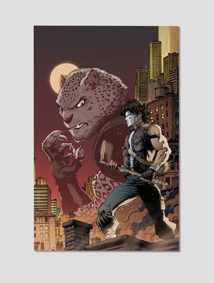 Casey Jones TMNT #4 Premium Giclee Print Poster 11x17 Wall Art