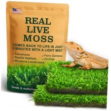 Live Moss for Reptiles - Terrarium Moss for Reptiles Peat Moss for Reptiles