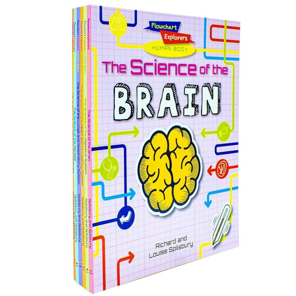 Flowchart Explorers Human Body STEM 6 Science Books Set: (Brain, Digestive, Heart, Lungs, Senses, Skeleton) - Image 6