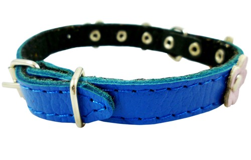Echtleder Hundehalsband gepolstert Dekor Blumen 8"-10" Hals Welpen Yorkshire - Bild 3 von 4