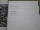 Picture 3 of 3