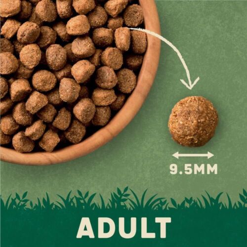 Harringtons Complete Dry Adult Dog Food Lamb & Rice 15 kg - Made with All - Picture 2 of 5