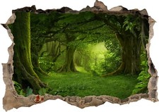  Nature Rain Forest Trees Jungle Sun 3D Decal Wall Sticker Poster Vinyl S118