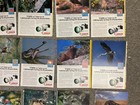 Wildlife as Canon Sees It  Print Ads Lot of 35 - 1980's  10 x 7 - Camera FD — photo 9
