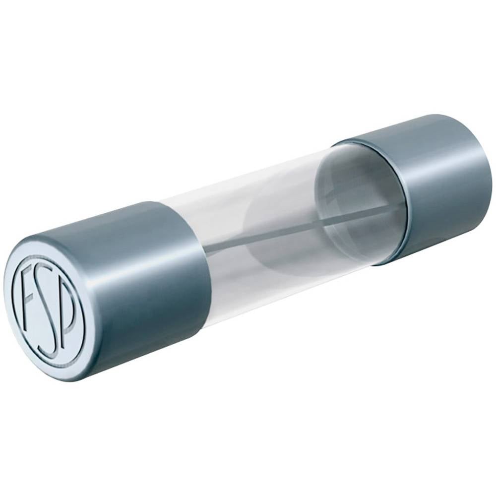 Micro-fusible de précision Püschel FSM0,1B 5x20mm 0.1A haute fiabilité