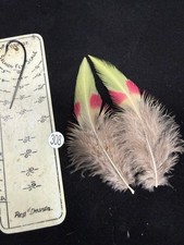 RARE COLLECTORS Vintage Blood Pheasant Feathers 302-308