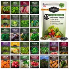 Home Garden Vegetable Seeds 30 Variety Pack – 30 Varieties, Multicolor 