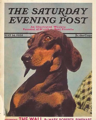 The Saturday Evening Post May 14 1938 Cover by Ivan Dimitri Vintage Birthday