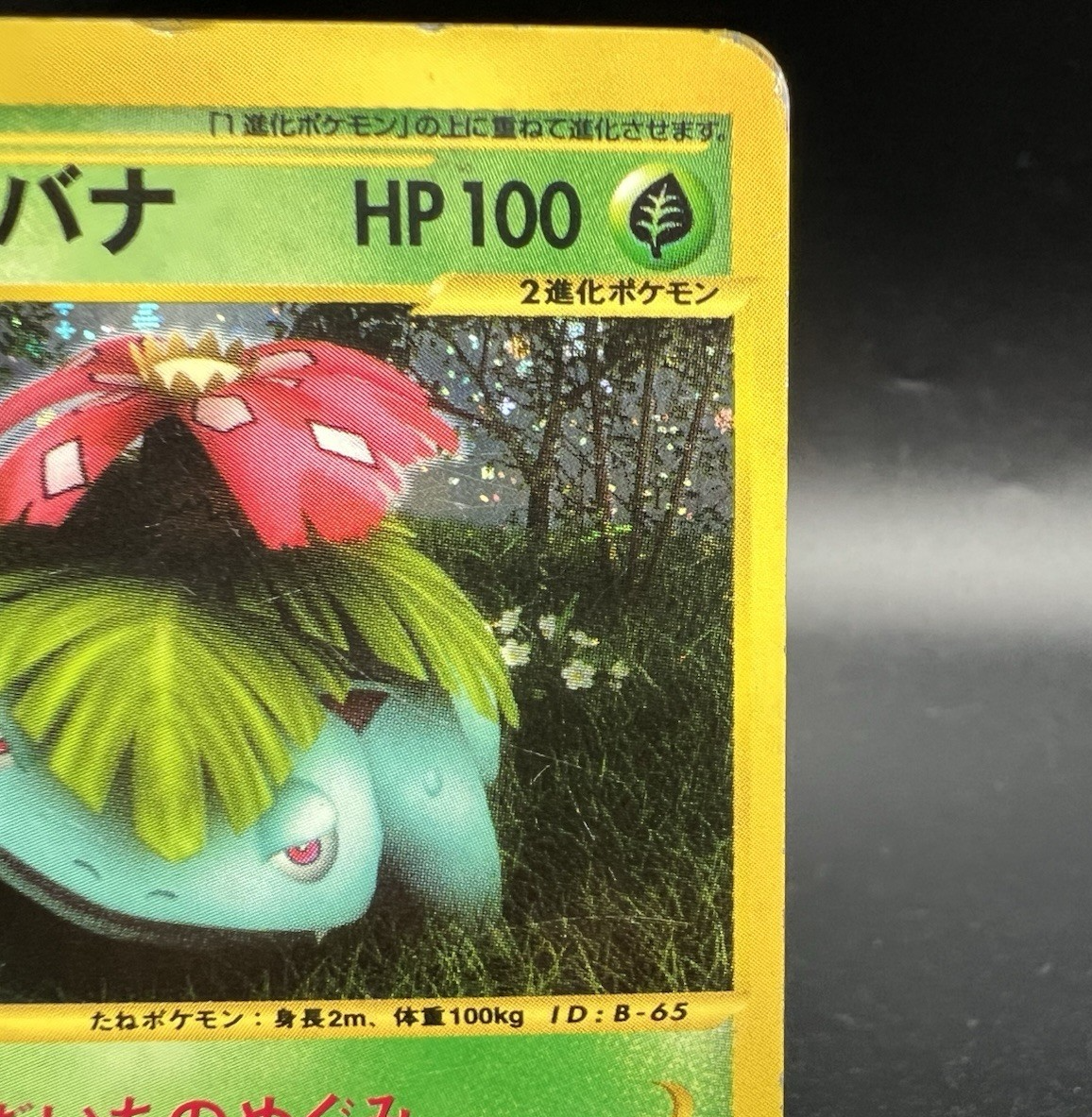 Venusaur 英語版 フシギバナ 1ed