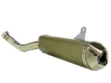 Auspuff Dinli 450