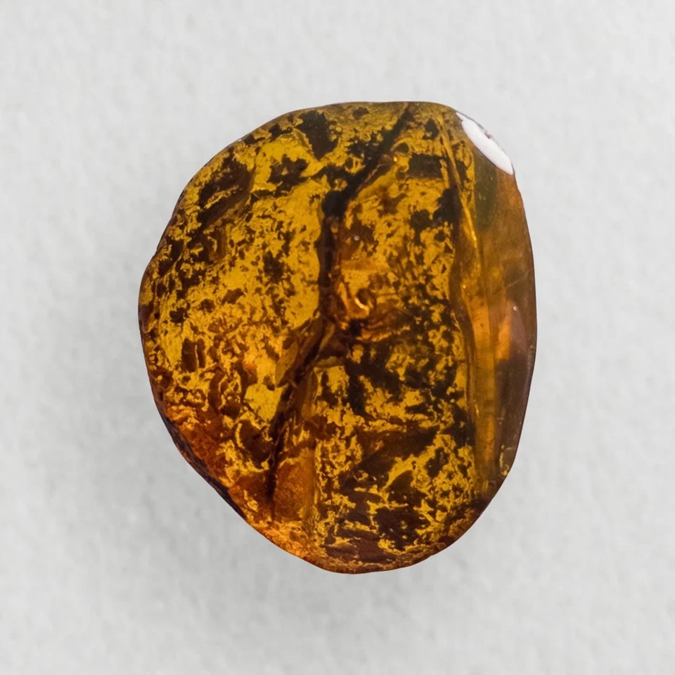SPIDER in Burmese / Burmite amber fossil / 100% genuine amber  - Image 4 of 4