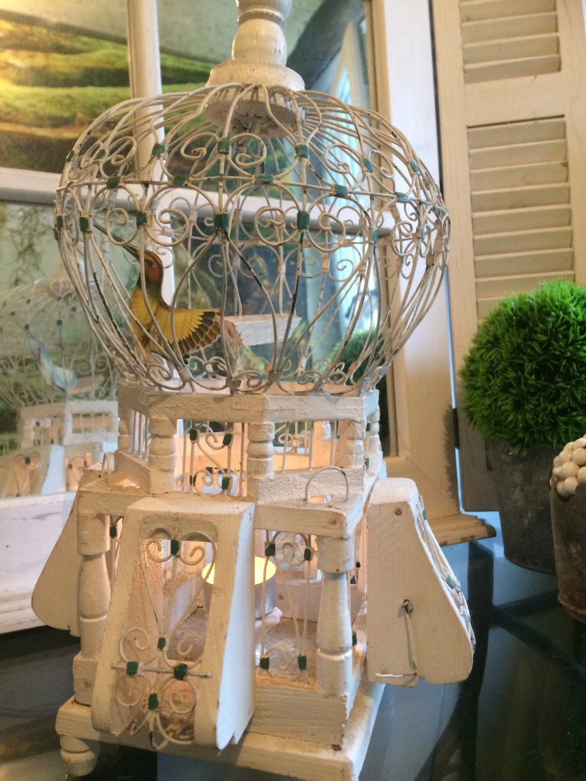 Bird CAGE