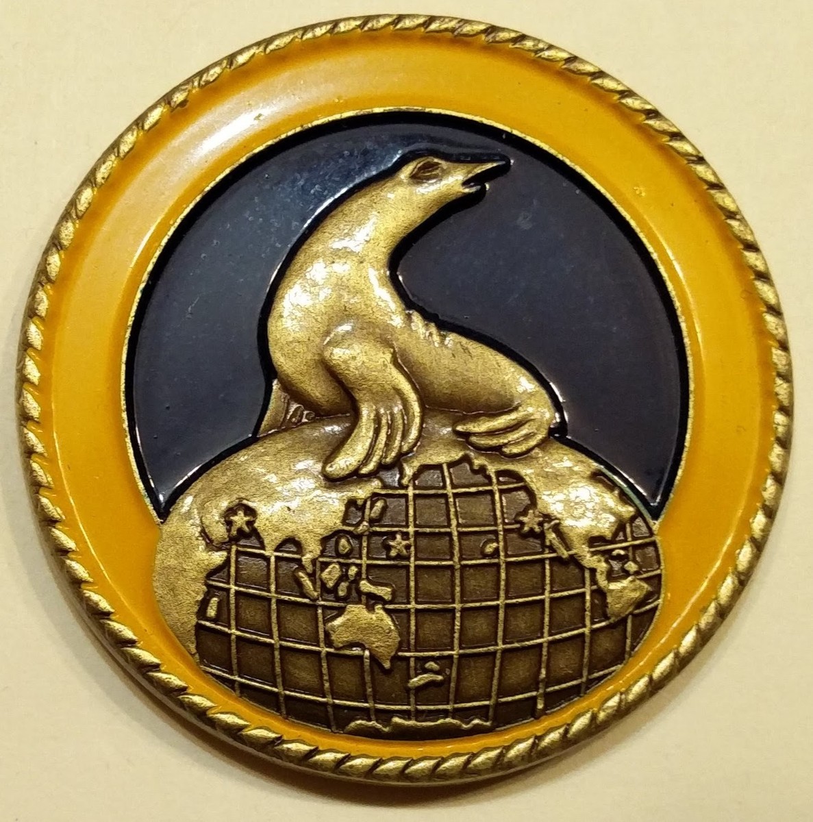 Naval Special Warfare Group 1 / One Commander SEALS Navy
