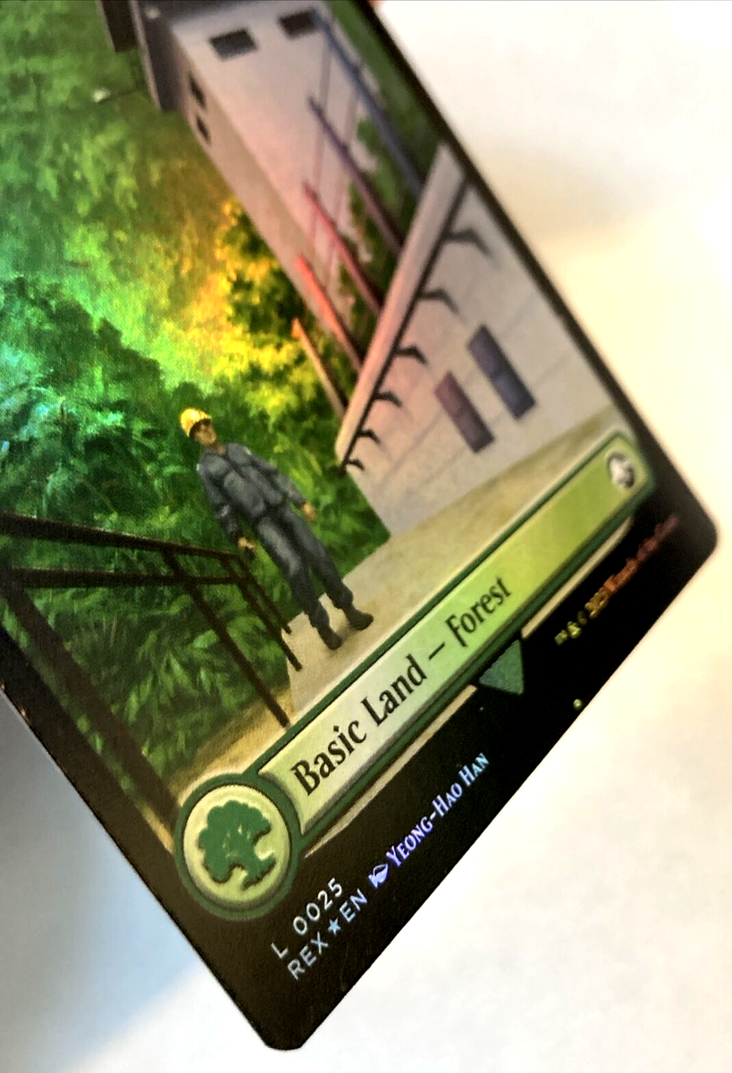 MTG Forest FOIL Universes Beyond Jurassic World 0025 NM | eBay