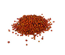 Chiltepin Pepper Seeds (Chilli Seeds) Bulk: (8 oz, 12 oz, 1 lb, 2 lbs, & 5 lbs)