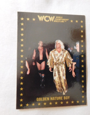 1991 Championship Marketing WCW Wrestling Card #1-110 Pick one