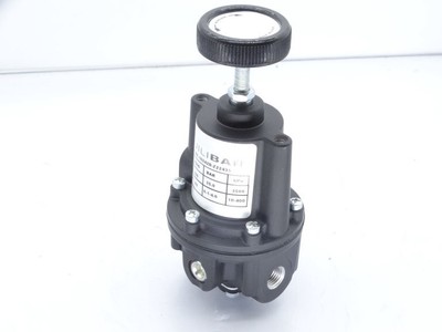 EQUILIBAR 10242D-Z22435 AIR PRESSURE REGULATOR #D8
