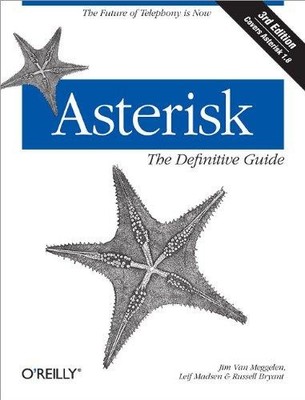 Asterisk: The Definitive Guide 3e (Definitive Guides) - Madsen, Leif