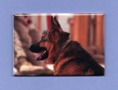 German Shepherd Fridge Magnet - 2x3 Inch Watercolor Design, Dog Breed Decor - View #3