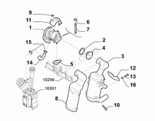 Borchia/Vite x1 nuova originale Alfa Romeo/Fiat/Lancia - 55205456