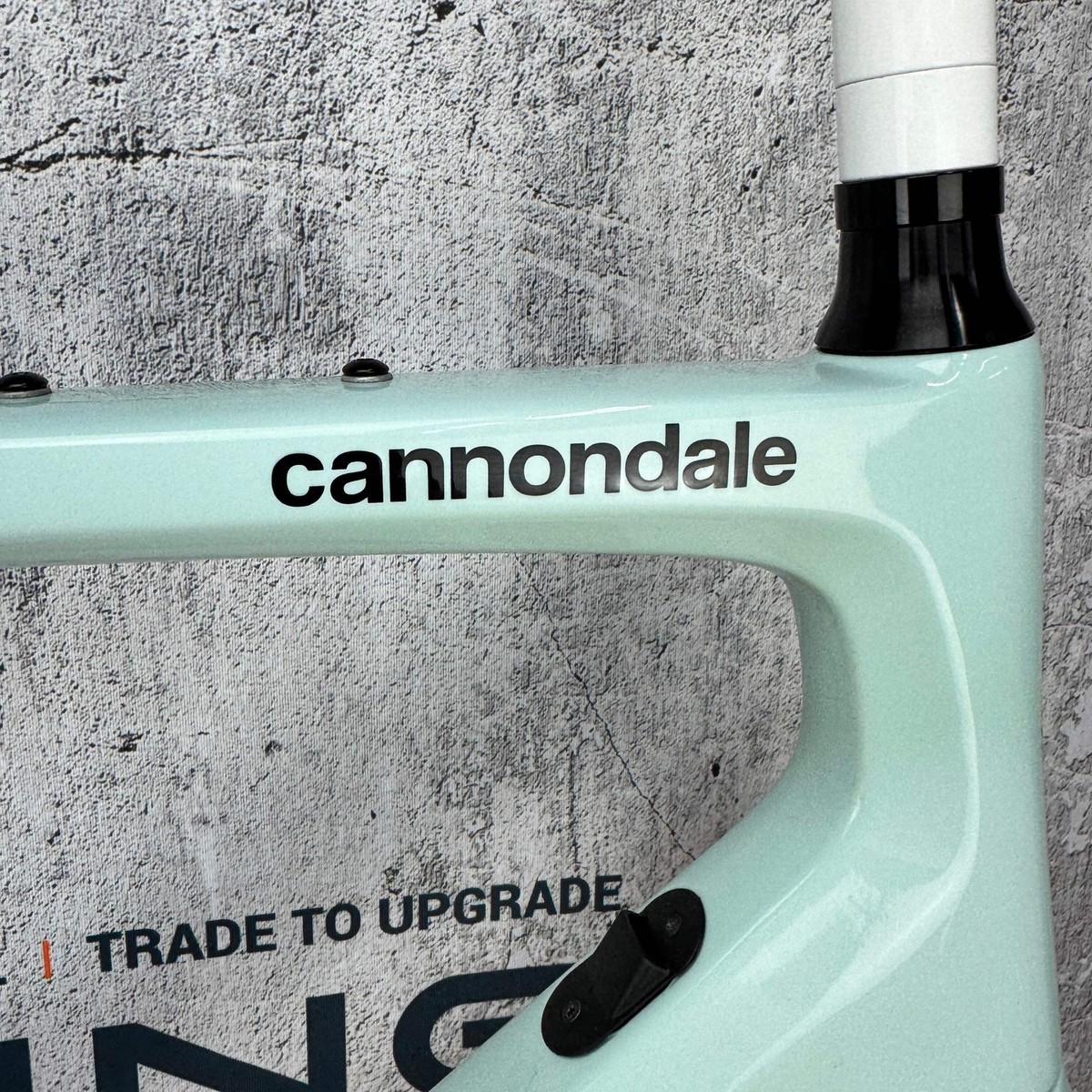 2023 Cannondale Synapse 58cm Carbon Disc Brake Frameset 700c