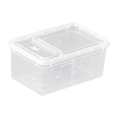 ransparent Reptile Breeding Box Mini Lizard Scorpion Hatching Container
