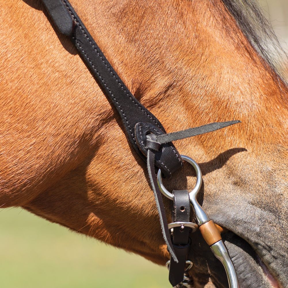 Billy Royal Black Leather Rolled One Ear Headstall | Size 35"- 42" | Full Horse