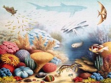 Sealife sea Ocean Fishes Corals Tile Mural Bathroom Backsplash Marble Ceramic